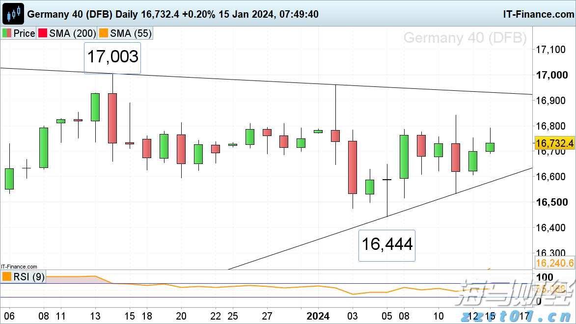 港南区香江龙舟赛激情开赛